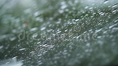 近距离观看水滴落在<strong>玻璃</strong>上。 <strong>雨水</strong>从窗户上流下来。 雨季，秋天。 <strong>雨水</strong>滴下来